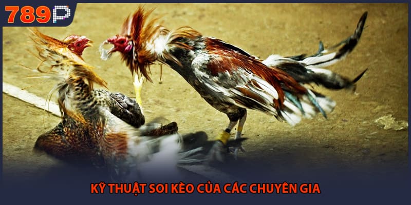 Kỹ thuật soi kèo của các chuyên gia
