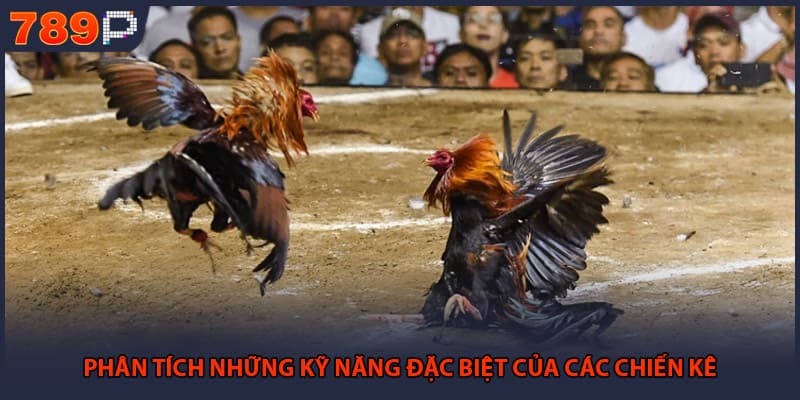 Phân tích những kỹ năng đặc biệt của các chiến kê